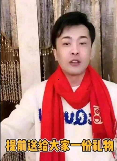 网红辛巴真有钱,揭秘网红辛巴的巨额财富之路