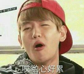 伯贤无字表情包,无声胜有声的治愈力量