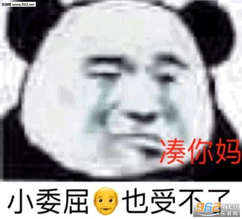 不接受反驳图片表情包
